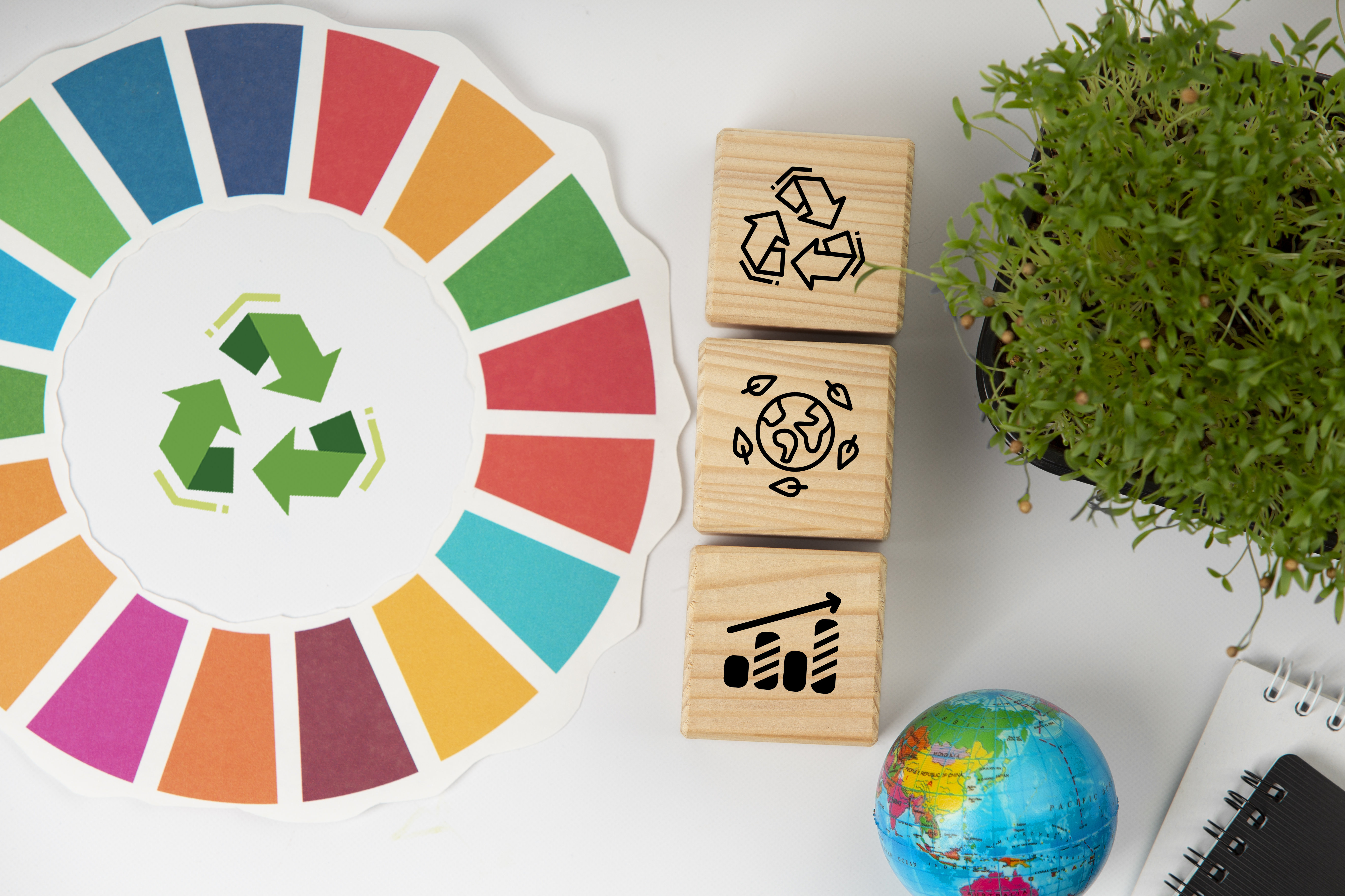 Economia Circular